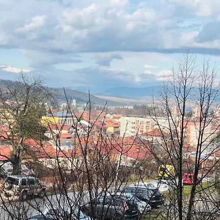 за гости *